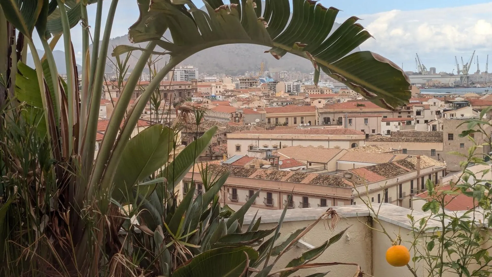 Apartamento Divisi Palermo Habitación en casa particular