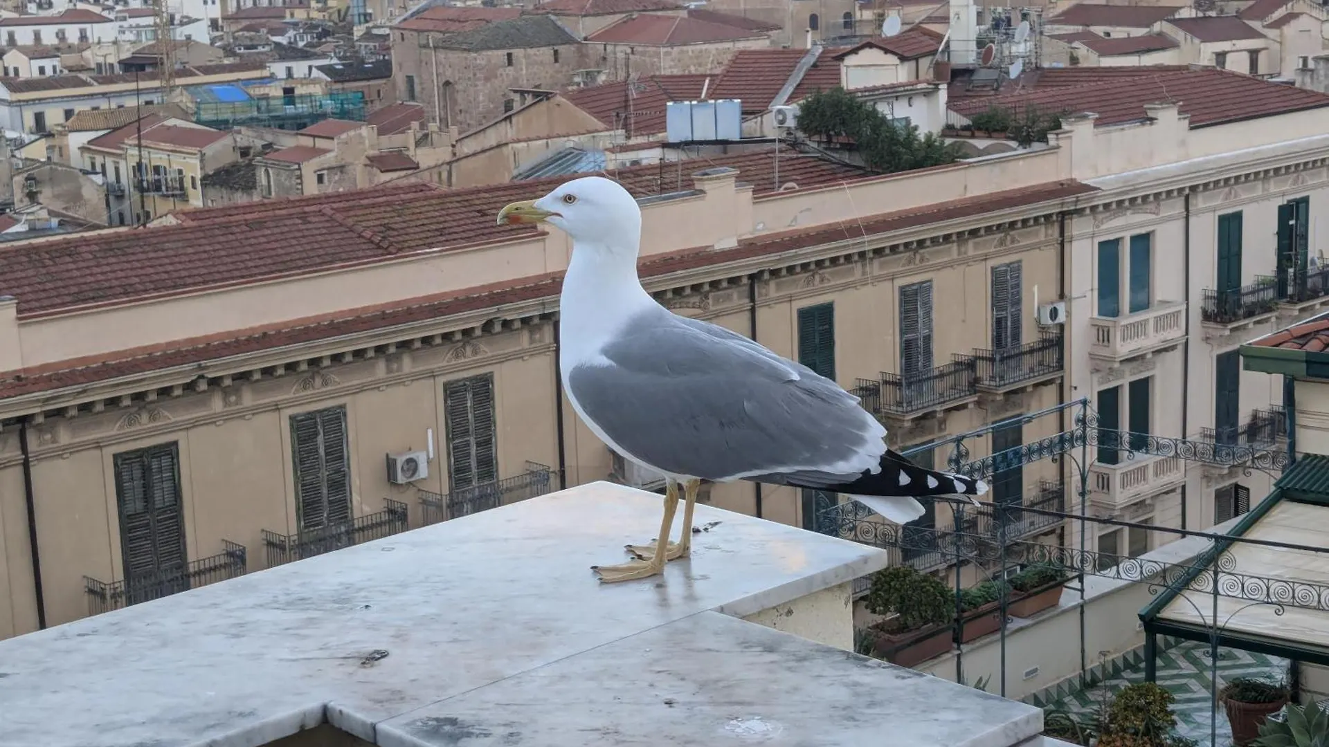 Apartamento Divisi Palermo Italia